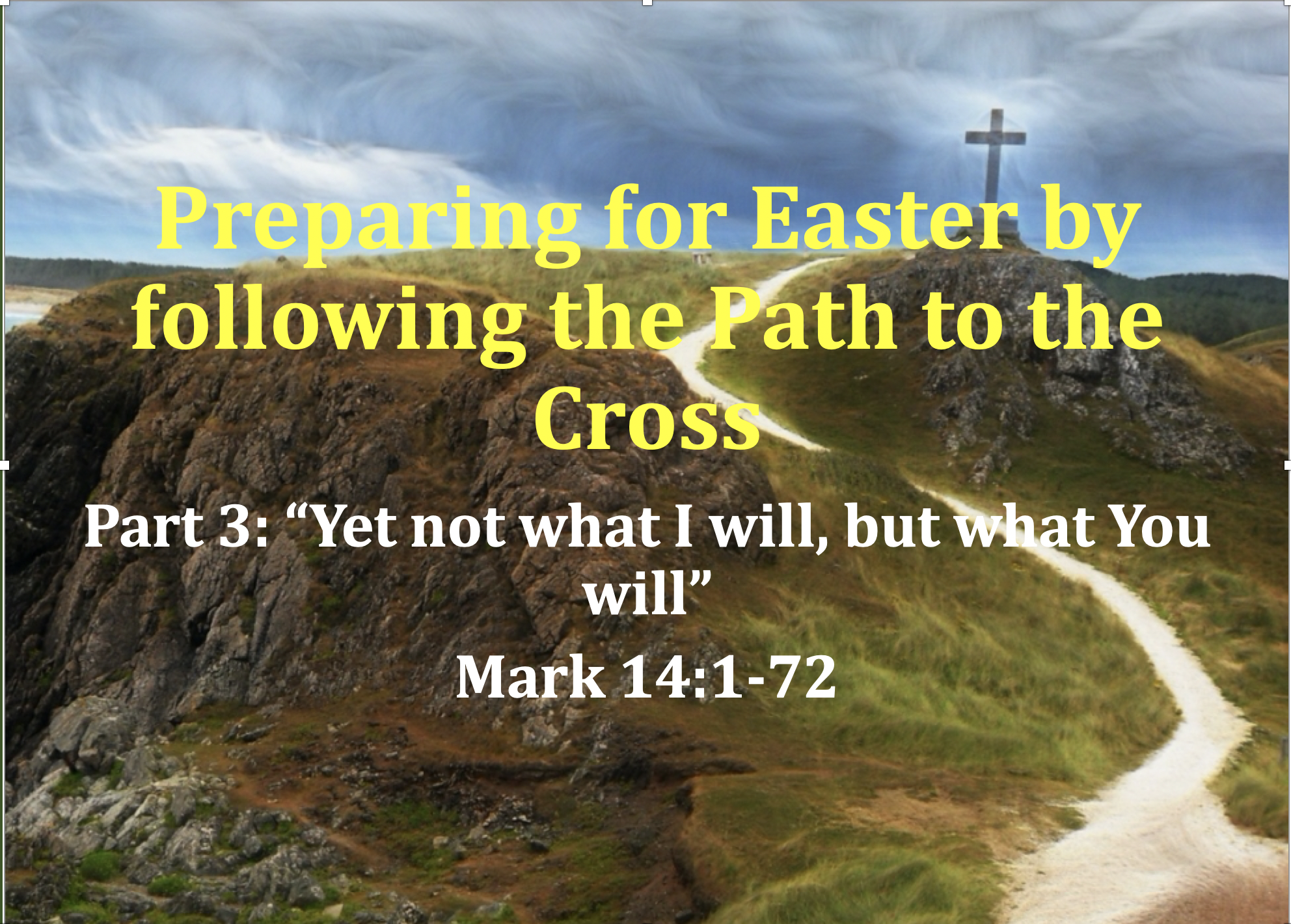 Screen Shot 2020-03-25 at 6.53.10 PM